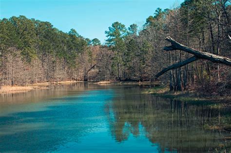 Finding Jerry and Mary: South Toledo Bend State Park, Louisiana