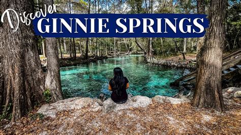 Explore the Wonders of Ginnie Springs: A Complete Guide