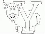 Y Is For Yak coloring Page  coloringcom sketch template