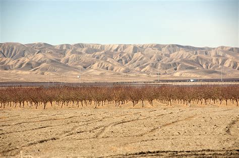 Drought costs California agriculture $1.8B, 10,100 jobs in 2015 ...