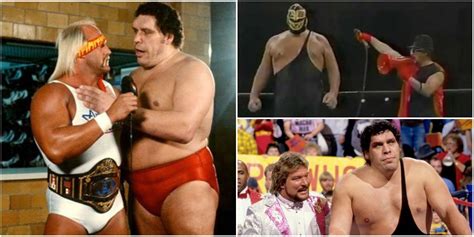 5 Best Tag Team Partners Of Andre The Giant's Career (& 5 Worst)