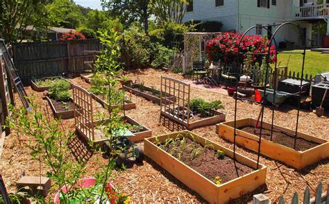 How To Make A Vegetable Garden In The Backyard | Chicago Land Gardening