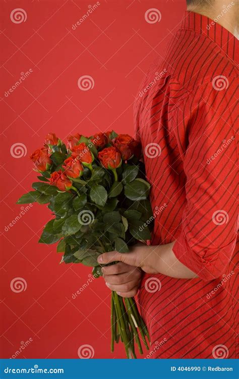 Hidden flowers stock photo. Image of holding, hide, companion - 4046990