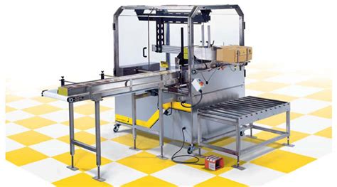 Buy case packer machine from Forview Engineering & Technology Pvt. Ltd ...