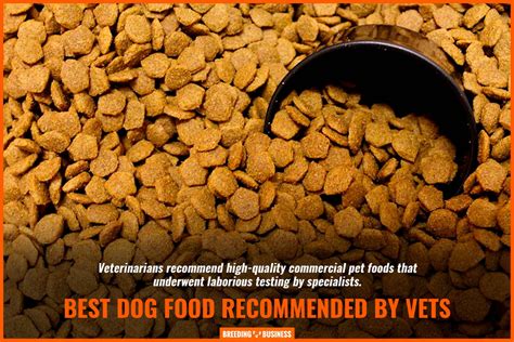 13 Best Dog Foods for Small Dogs – Proper Amount + Quality Ingredients