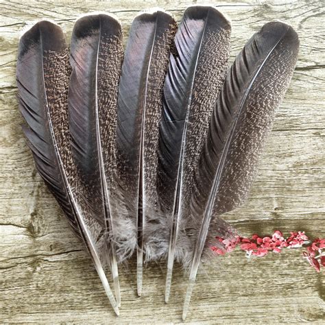 Hot Wholesale 10pcs beautiful 9 12inches/22 30cm natural wild turkey tail feathers crafts for ...