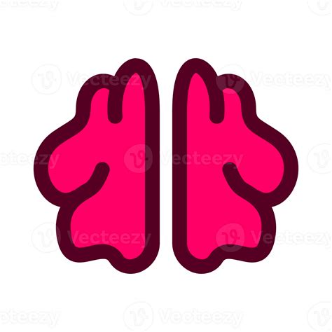 Human brain. anatomy of internal organs. 37046875 PNG