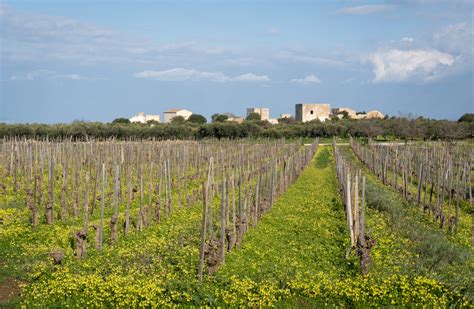 The Truth About Visiting Sicily in Winter (Good and Bad)