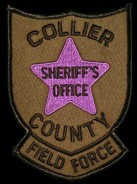 Collier County Sheriff's Office Field Force | Police patches, Sheriff office, Sheriff