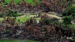 Rohingya genocide - Simple English Wikipedia, the free encyclopedia