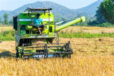 Harvesting going on in the paddy field - PixaHive