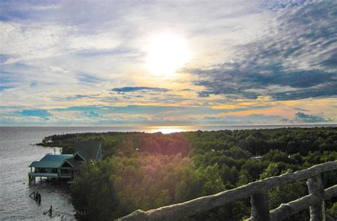 Mūi Cà Mau National Park – Cau Ma Province, Vietnam