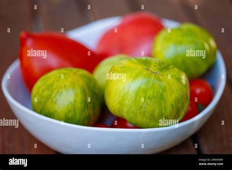 Tomato, green and red tomatoes (Solanum lycopersicum), Green Zebra, special tomato varieties ...