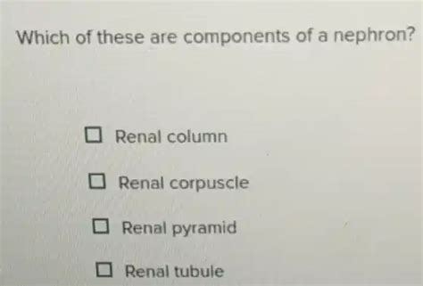 which of these are components of a nephron? renal column renal corpuscle renal pyramid renal ...