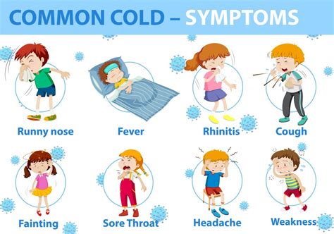 Common cold symptoms cartoon style infographic - Theayurveda