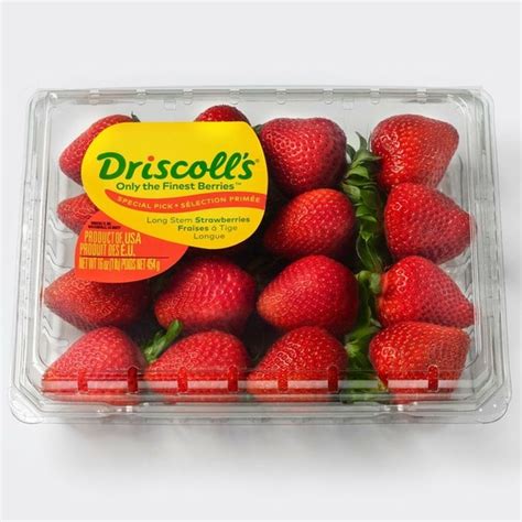 Driscoll's Long Stem Strawberries (16 oz) - Instacart