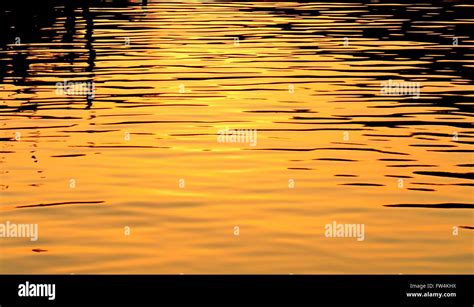 Ripple on the surface of the water during golden sunset Stock Photo - Alamy