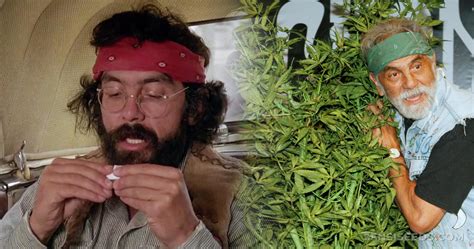 Tommy Chong & Cannabis: Profile, Interview & Videos - Sensi Seeds