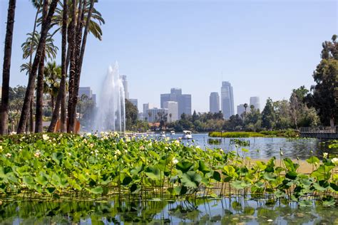 Echo Park Lake is the Best Place to Picnic in LA - Thrillist