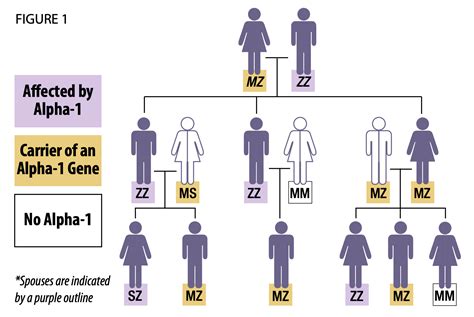 How is Alpha-1 inherited? - A1AD Support