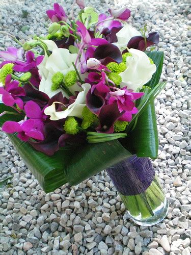 purple Dendrobium orchids | Ramadhan 2011