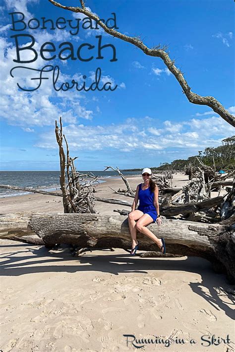 Boneyard Beach Florida - Big Talbot Island State Park « Running in a Skirt