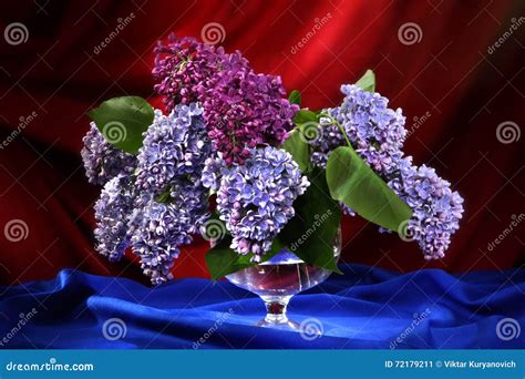 Still-life with Bouquet of Lilac in Decorative Vase Stock Image - Image of composition ...