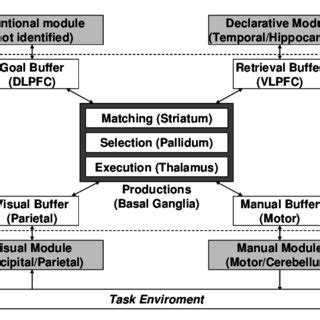 Modular software architecture of the cognitive architecture ACT-R... | Download Scientific Diagram