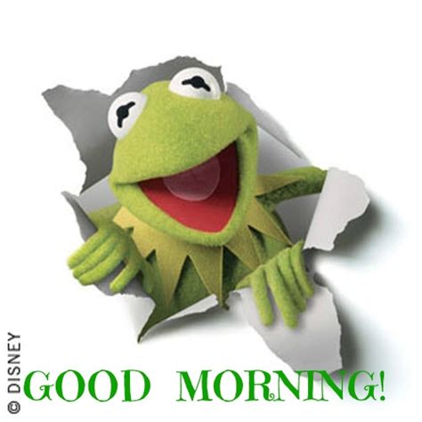 Kermit Morning Quotes. QuotesGram