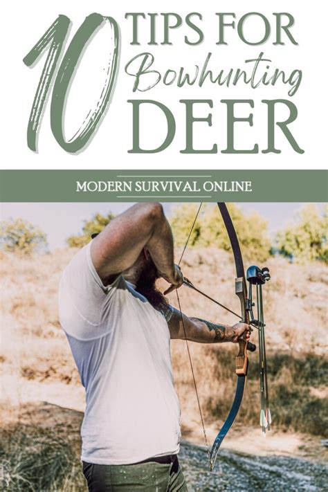 10 Tips for Bowhunting Deer You Need to Know - Modern Survival Online