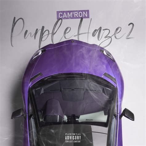 Cam’ron Purple Haze 2 : r/freshalbumart