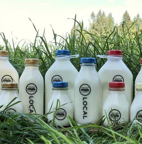 Farm Fresh Milk Deliveries : farm fresh milk delivery