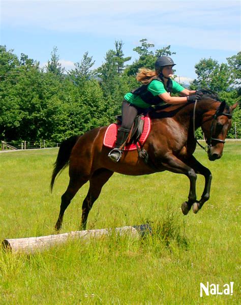 Photos of Horseback Riding Lessons - High Meadows Farms