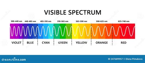 Visible Light Spectrum. Optical Light Wavelength. Electromagnetic Visible Color Spectrum for ...