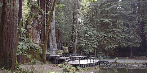 Bohemian Grove is a secretive campground in California - Business Insider