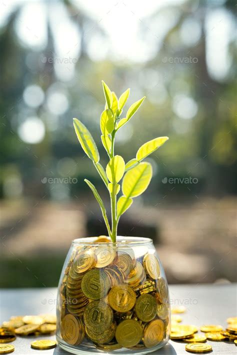 Gold Coins in Glass Jar with Plant by Liufuyu