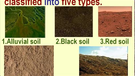 Alluvial Soil Is Rich In Which Minerals