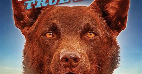 Film Guru Lad - Film Reviews: Red Dog: True Blue Review