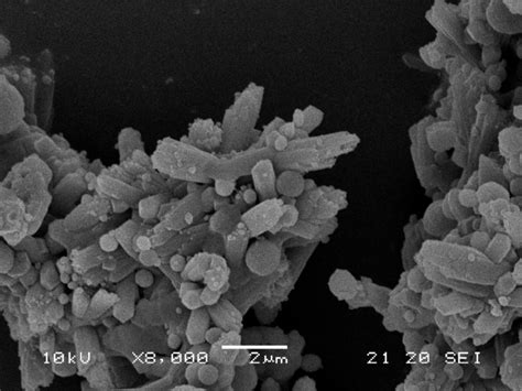 Magnified calcium carbonate crystals the product of bacterial healing... | Download Scientific ...