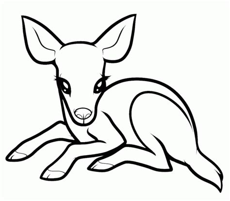 Baby Deer - Coloring Pages For Kids And For Adults - Coloring Home