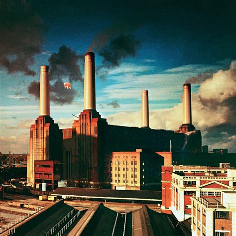 Pink Floyd’s “Animals”: The Story Behind the Album Cover | by David ...