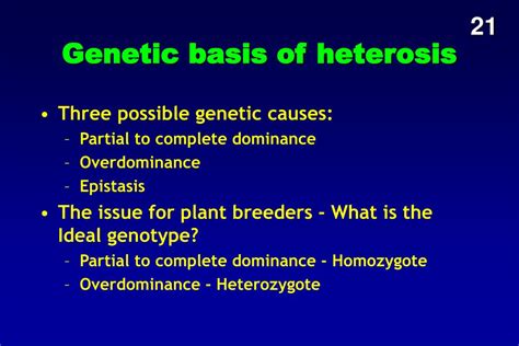 PPT - Heterosis PowerPoint Presentation, free download - ID:2396835