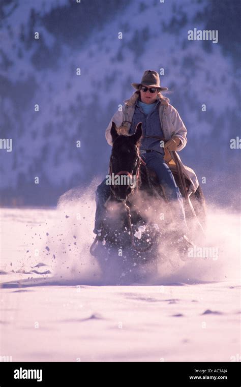 Riding a Horse Through Snow Stock Photo - Alamy