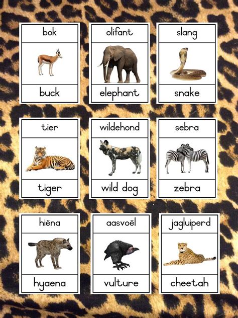 Wilde Diere / Wild Animals Afrikaans and English A4 Poster Cards • Teacha!