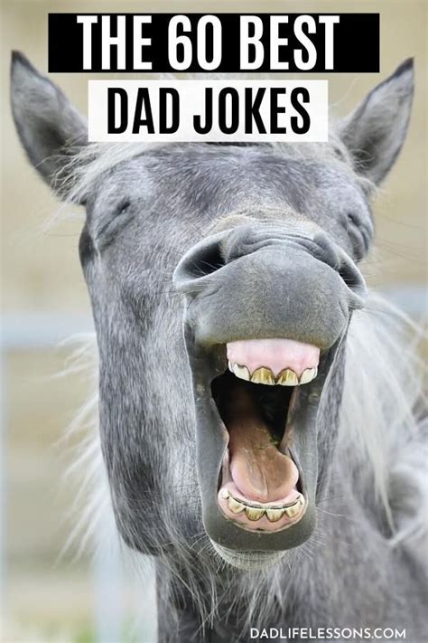 60 Best Dad Jokes - So Funny Even the Wife will Laugh! | Best dad jokes, Dad jokes, Dad humor