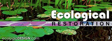 Ecological Restoration | Ecologia Design / 240.344.5625