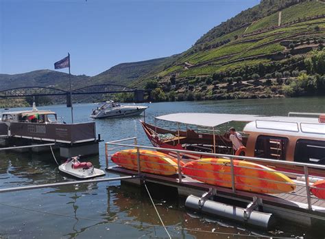 Full Day Douro Valley Tour with Wine Tasting - TGW Travel Group