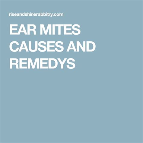 EAR MITES CAUSES AND REMEDYS | Mites, Ear, Infestations