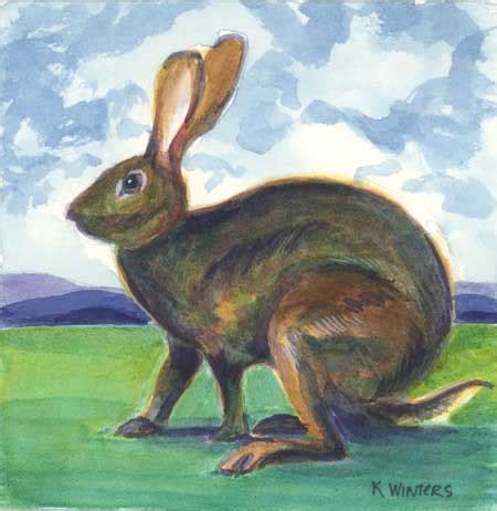 A Young Hare – Daily Painting | Karen Winters Blog - California ...