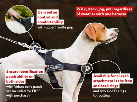 Buy Lightweight Nylon Dog Harness |Training